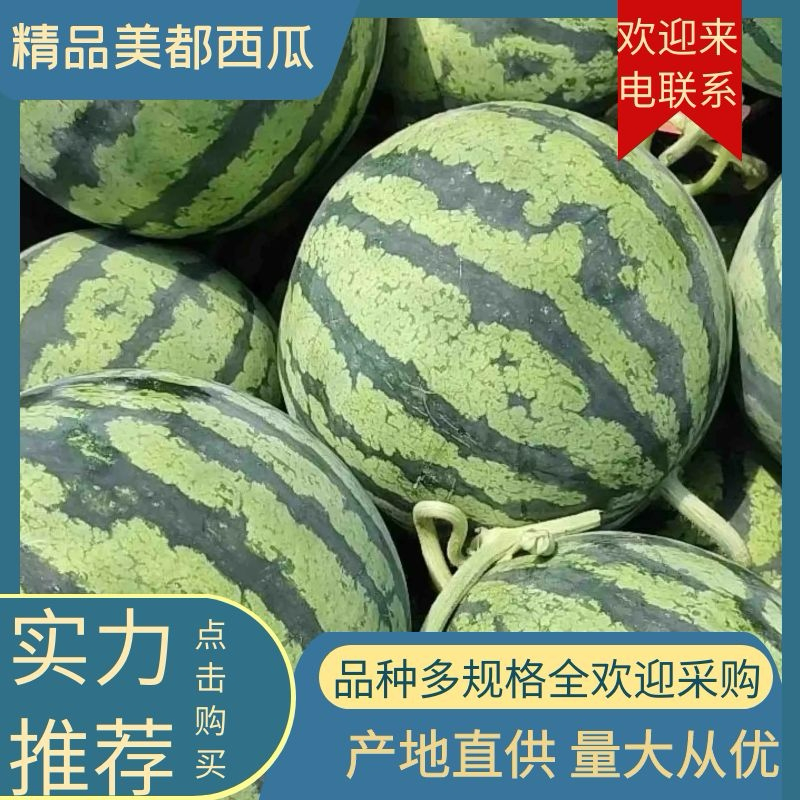 【推荐】安徽宿州精品美都西瓜货源充足质量保证代发全国