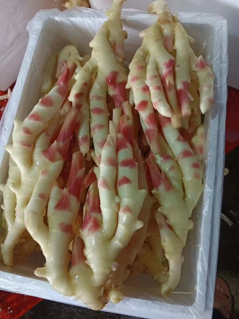 精品仔姜大量上市，一手货源充足，欢迎各位老板咨询