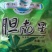 胆南星批发胆南星质量保证量大从优