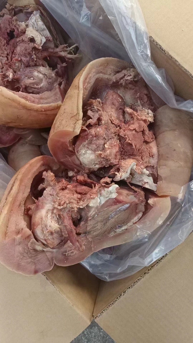 精品带皮牛头肉，无骨，无淋巴，全熟，熟食店食堂专用可定制