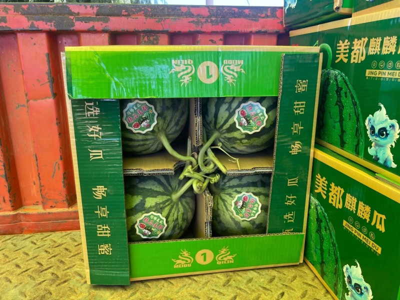 湖南精品麒麟西瓜头茬九成熟皮毛好卖相好无擦伤包熟包甜好货