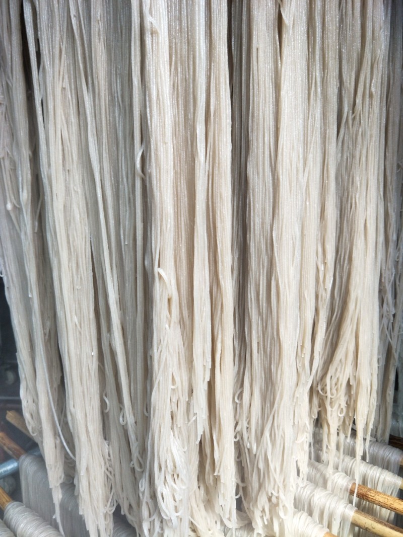 红薯粉条中粉常年供应大量批发零售