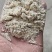 鱼牛羊饲料糯玉米糠，白糯玉米糠黄糯玉米糠糯玉米麸保质保量