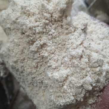鱼牛羊饲料糯玉米糠，白糯玉米糠黄糯玉米糠糯玉米麸保质保量