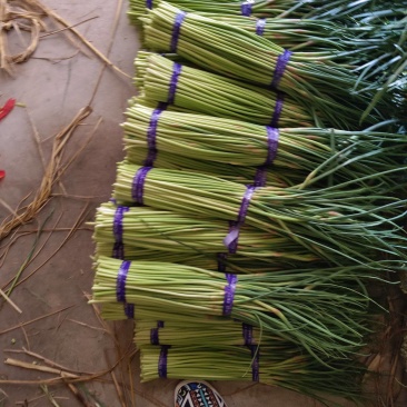 精品小红冒蒜薹
