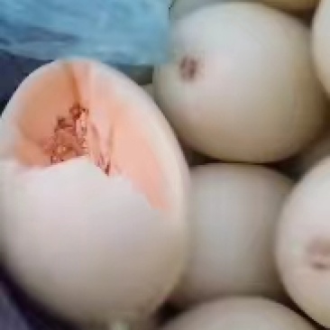 山东头茬红金蜜白皮红肉货源充足欢迎咨询