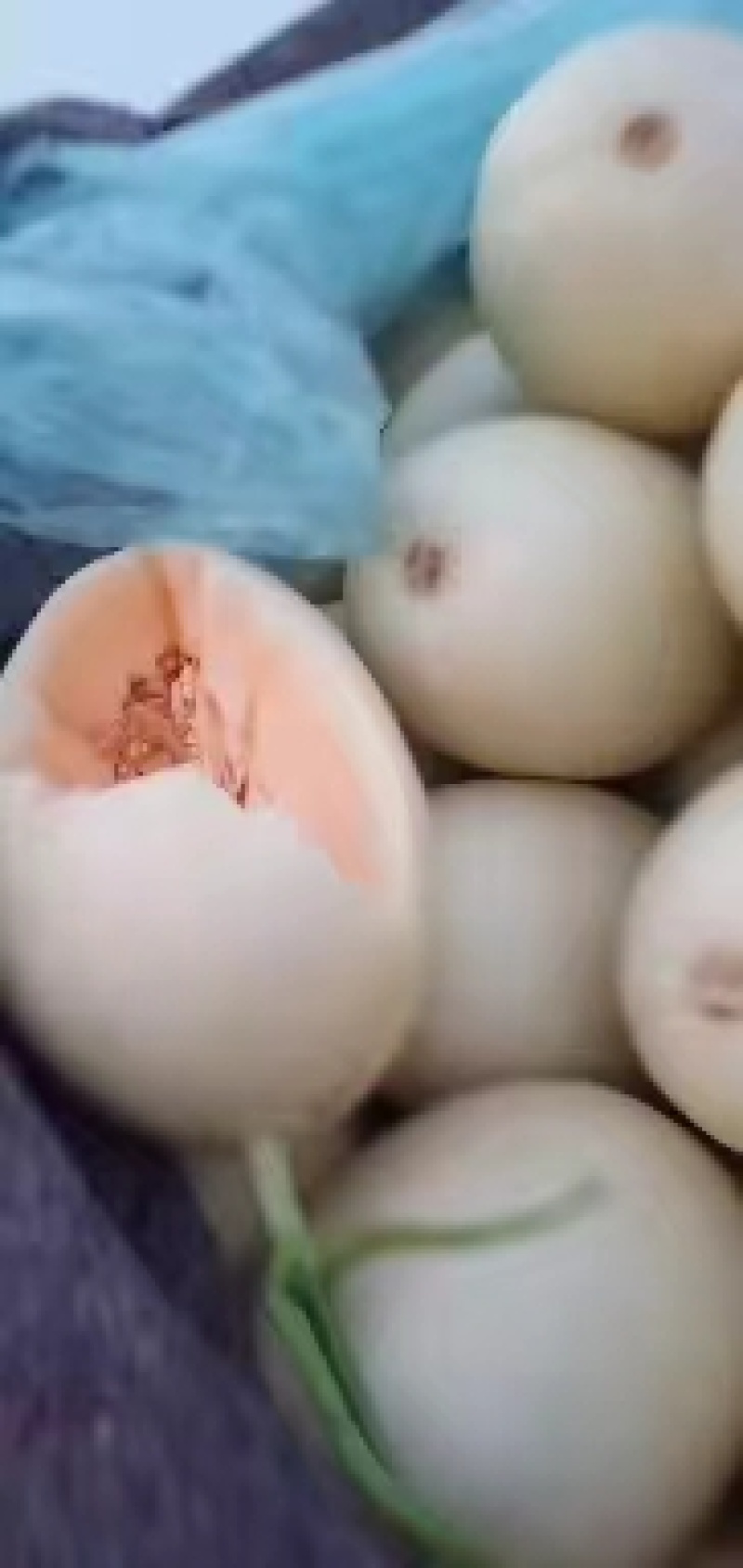山东头茬红金蜜白皮红肉货源充足欢迎咨询