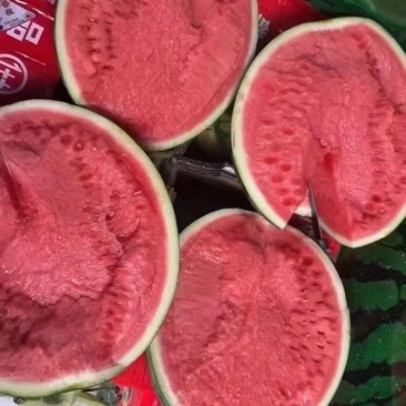 东莞无籽麒麟西瓜大量供应,产地直发,保质保量对接全国客商
