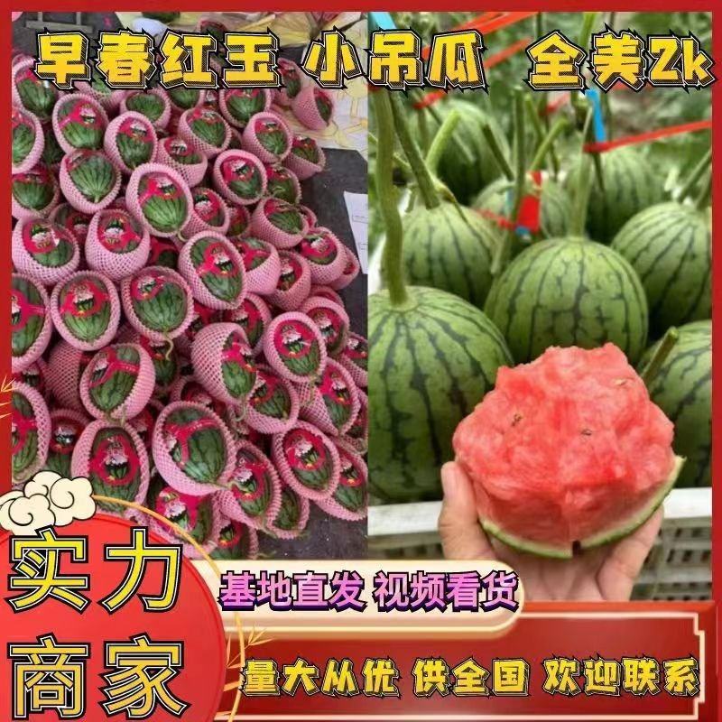 精品砀山小糖丸2k西瓜，大量上市，皮薄口感好，货源充足！