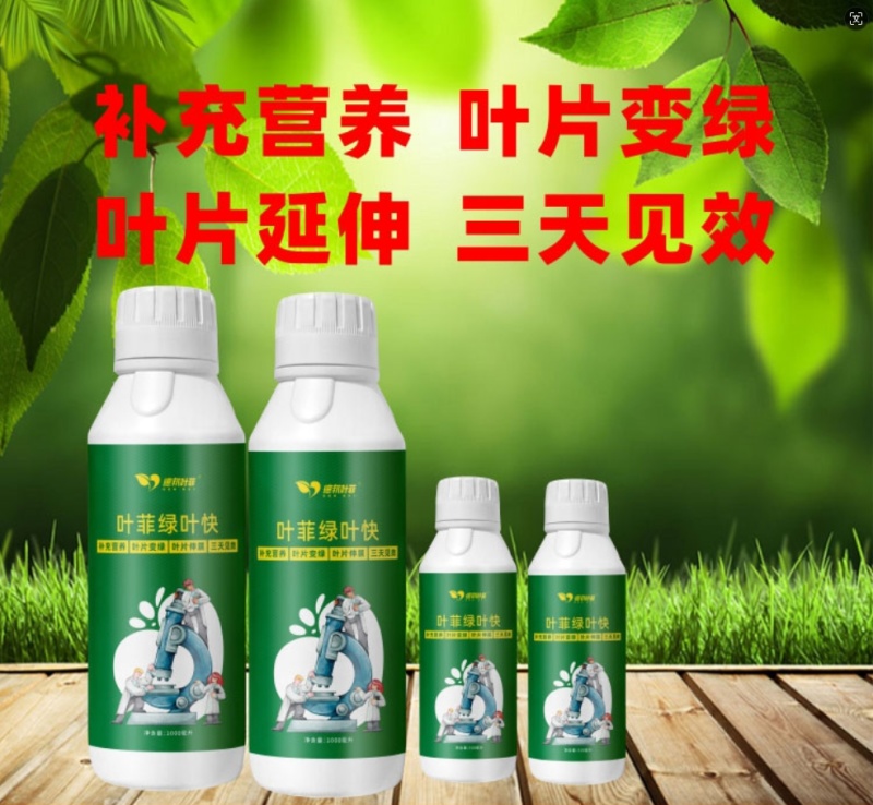 黄叶转绿生根一喷绿氨基酸水溶肥蔬菜花卉植物肥料