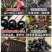 嘉宝果