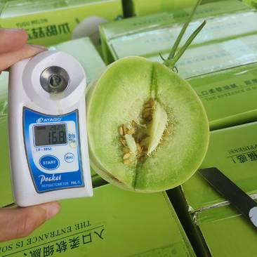 【一件代发】玉菇甜瓜高品质稳定供应产地直发电商代发包售后