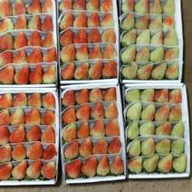 云南夏季草莓大量上市，你需要的老板可以了。
