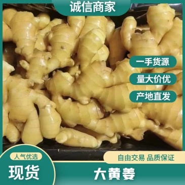 生姜,电商货,加工厂姜,水洗姜,风干姜,沙土姜代存入库