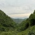太平猴魁手工炭火不卷不翘两头尖核心产区新明乡半斤礼盒