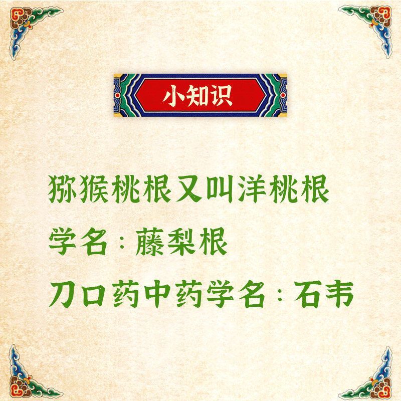 野生猕猴桃根雄洋桃根藤梨根杨桃根+刀口药石苇石韦良心中药