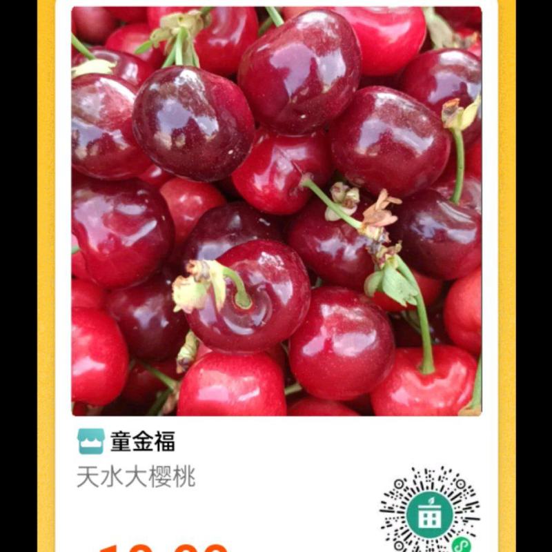 天水大樱桃，车厘子，提前预定中……
