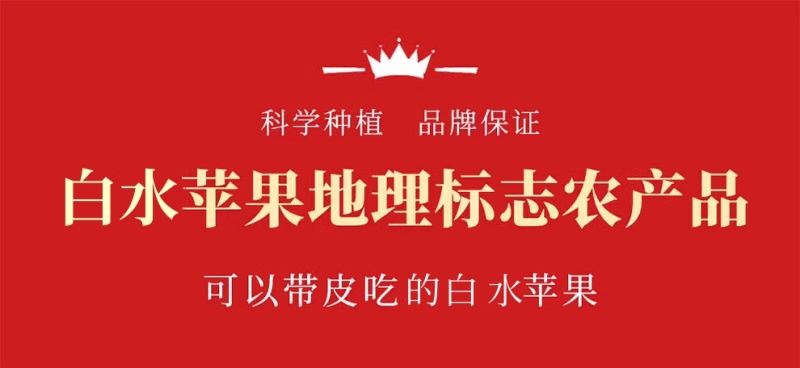 陕西白水苹果精品红富士苹果货量大，价格优，经济实惠