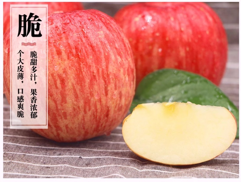 陕西白水苹果精品红富士苹果货量大，价格优，经济实惠