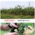 陕西白水苹果精品红富士苹果货量大,价格优,经济实惠