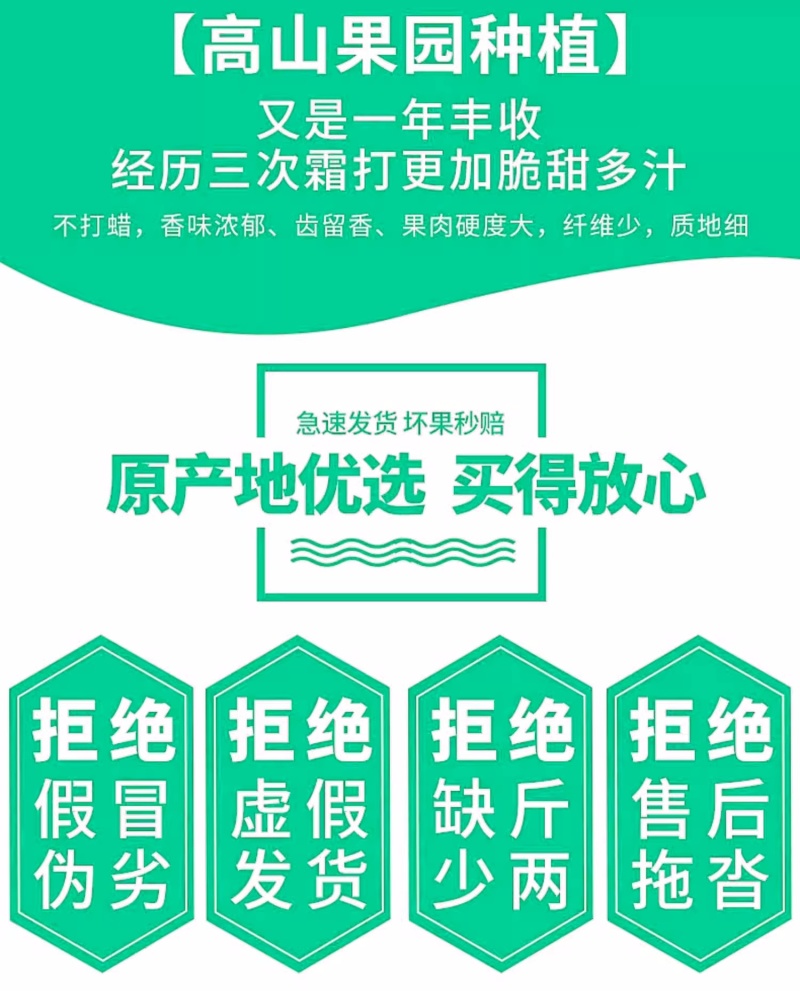 陕西白水苹果精品红富士苹果货量大，价格优，经济实惠