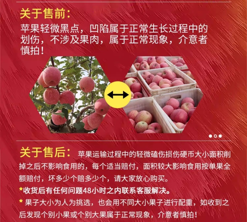 陕西白水苹果精品红富士苹果货量大，价格优，经济实惠