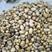 黄心土豆产地一手货源实力代办代收代发品质保证