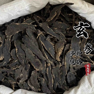 【货对版】玄参元参选装玄参大片干净过筛货多种规格干货