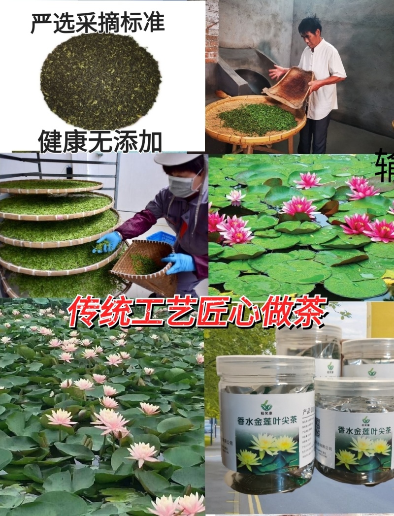 香水金莲叶尖茶睡莲叶茶荷叶茶花草茶