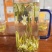2024年茉莉银针茶茉莉花茶500g包邮