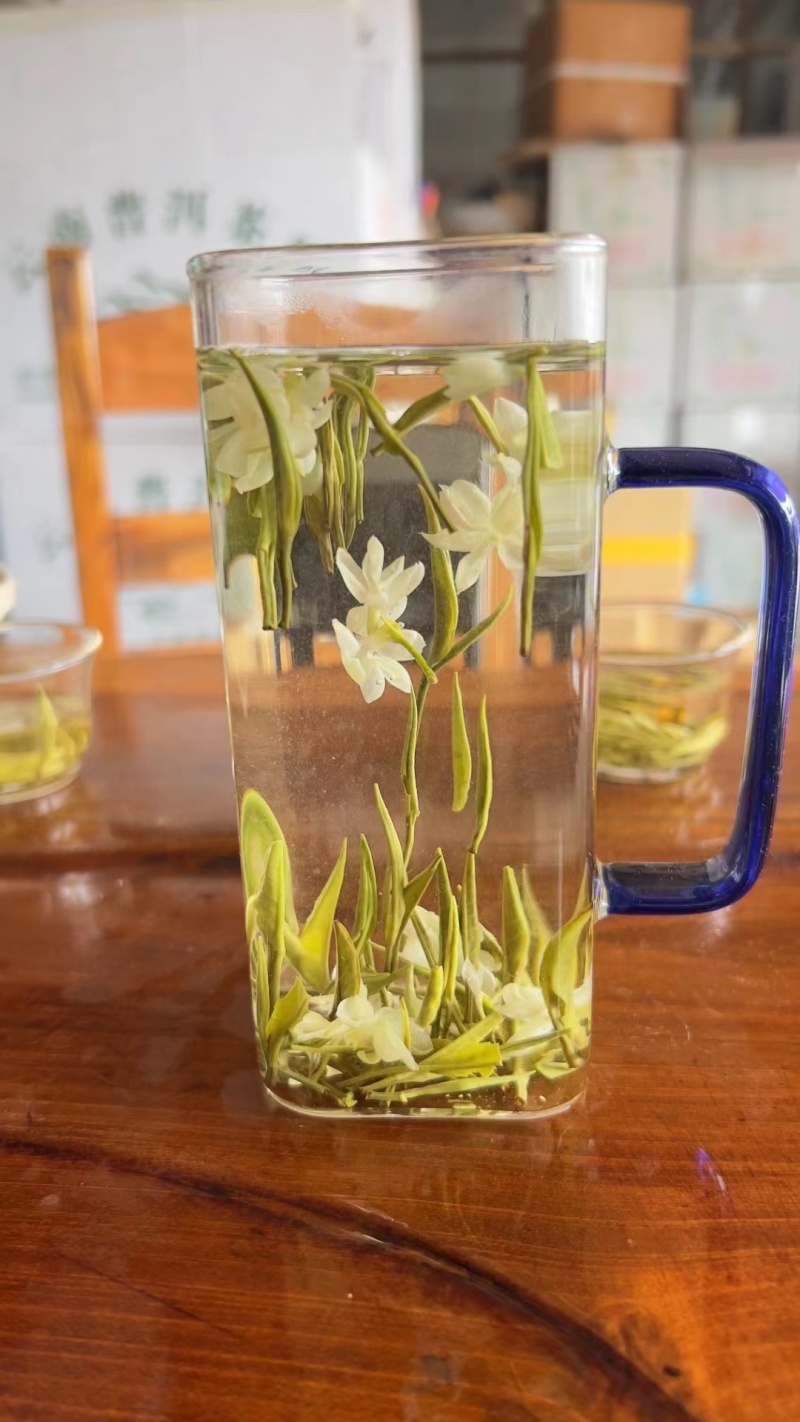 2024年茉莉银针茶茉莉花茶500g包邮