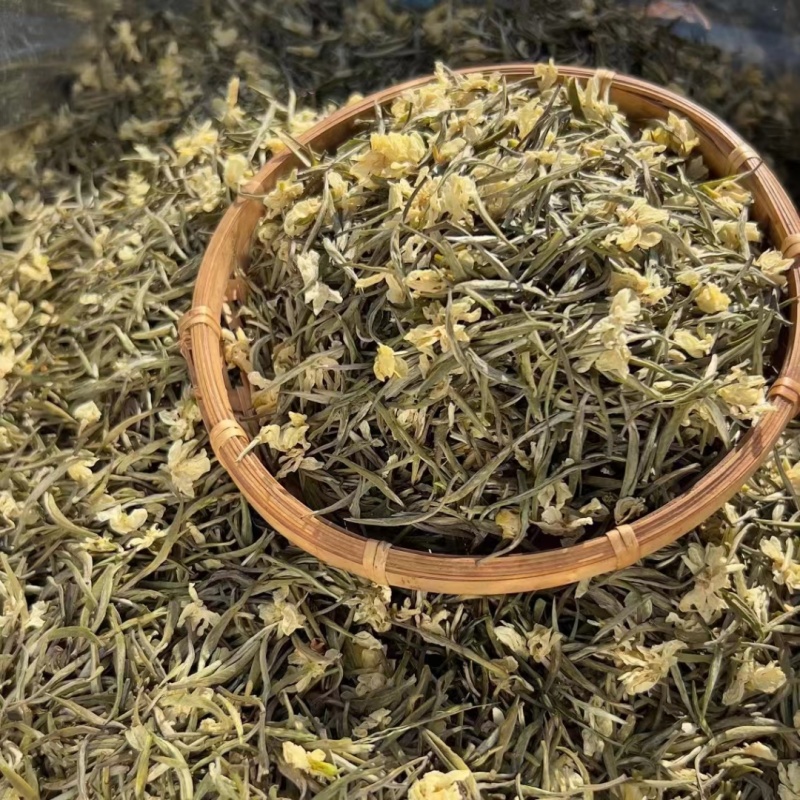 2024年茉莉银针茶茉莉花茶500g包邮