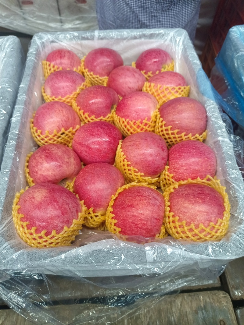 优质套袋秦冠