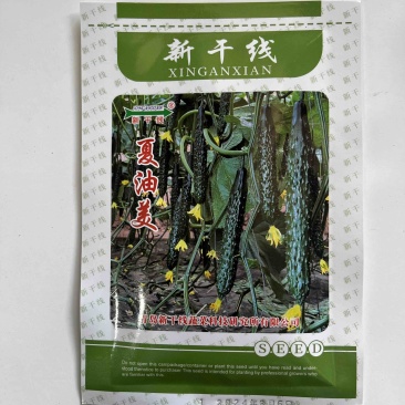 夏油美强磁黄瓜品种种子夏季耐热品种种子