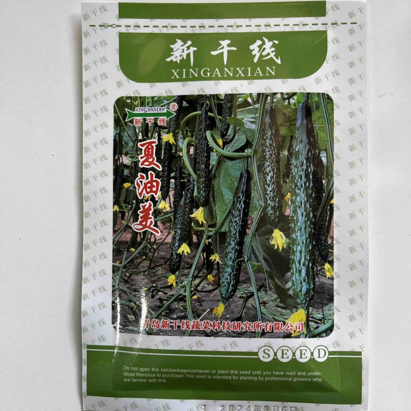 夏油美强磁黄瓜品种种子夏季耐热品种种子