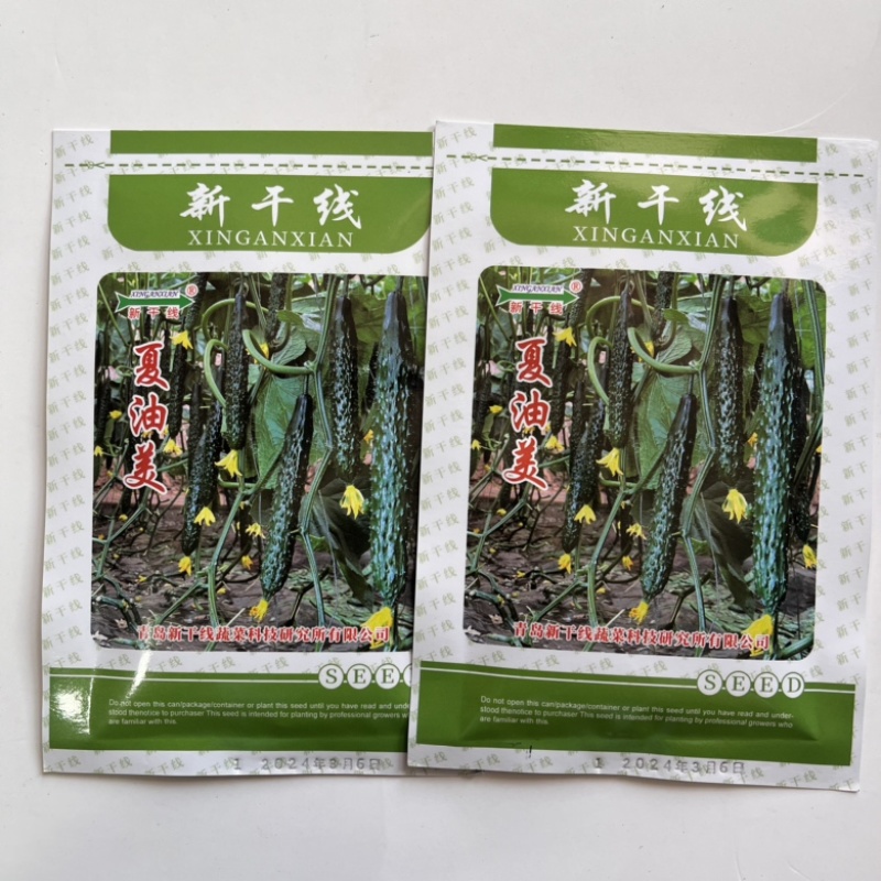 夏油美强磁黄瓜品种种子夏季耐热品种种子
