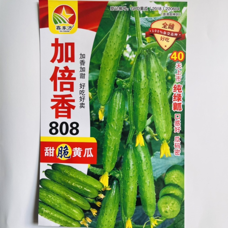 夏油美强磁黄瓜品种种子夏季耐热品种种子