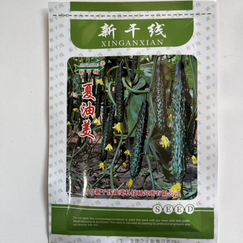夏油美强磁黄瓜品种种子夏季耐热品种种子