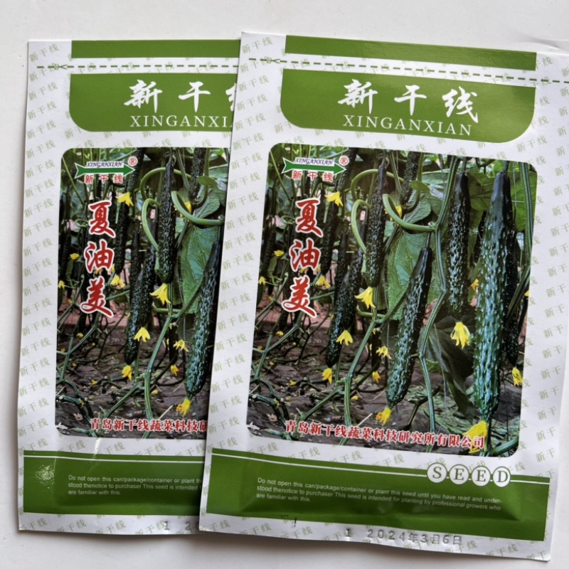 夏油美强磁黄瓜品种种子夏季耐热品种种子