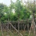 大红紫薇基地直销规格齐全欢迎老板来电咨询合作