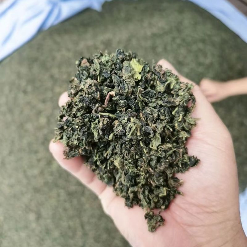 正宗安溪铁观音清香型浓香型铁观音厂家批发