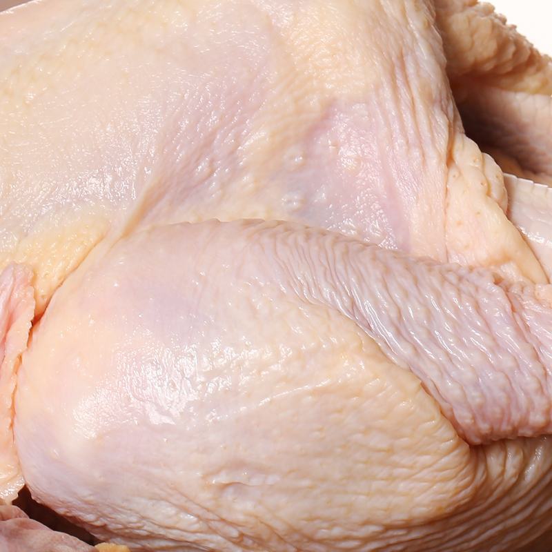 井冈童子鸡白条鸡皮薄肉嫩/厂家直发品质保障资质齐全/新鲜直达
