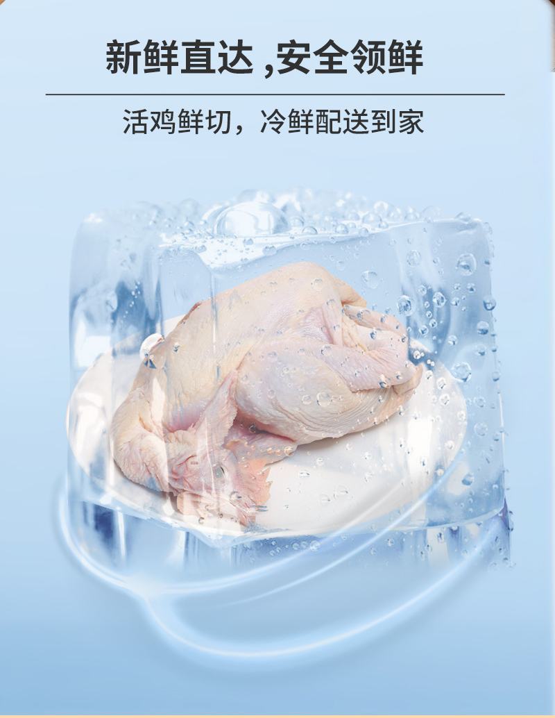 井冈童子鸡白条鸡皮薄肉嫩/厂家直发品质保障资质齐全/新鲜直达