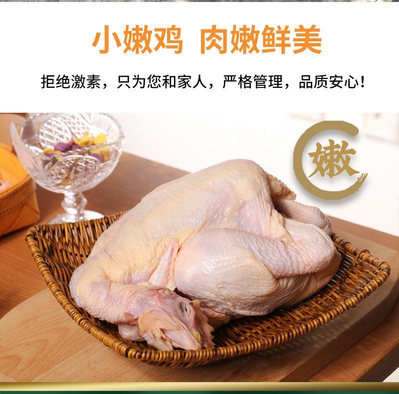 井冈童子鸡白条鸡皮薄肉嫩/厂家直发品质保障资质齐全/新鲜直达