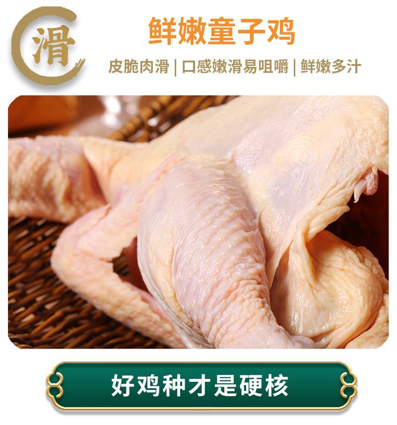 井冈童子鸡白条鸡皮薄肉嫩/厂家直发品质保障资质齐全/新鲜直达