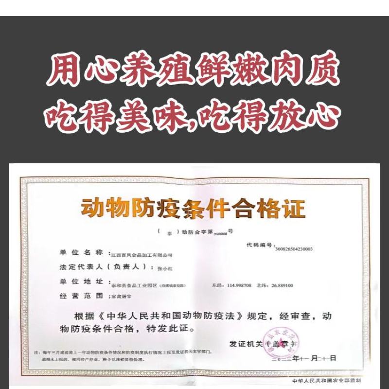 井冈童子鸡白条鸡皮薄肉嫩/厂家直发品质保障资质齐全/新鲜直达