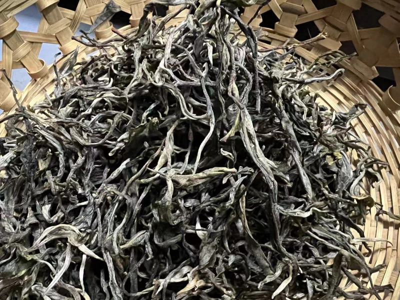 云南省澜沧县景迈山古树普洱生茶