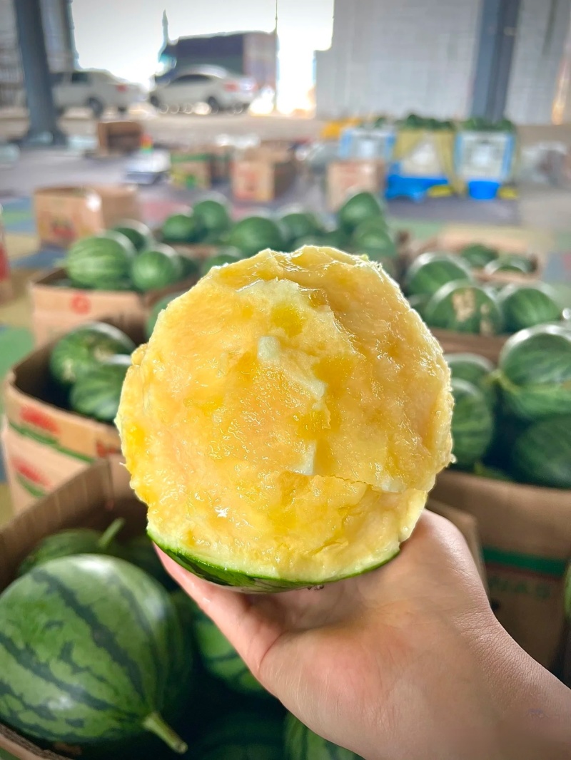 《精选》特小凤西瓜大量上市个头均匀量大从优全国代发