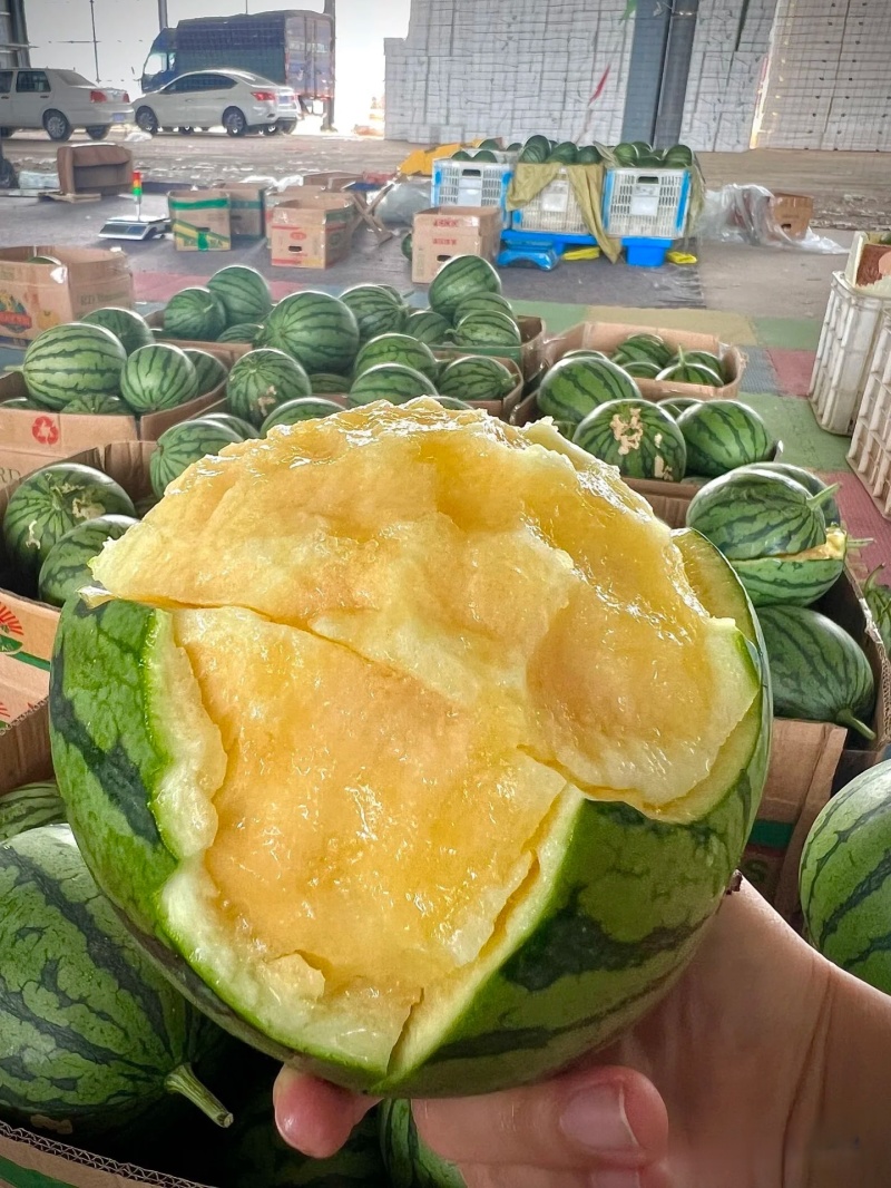 《精选》特小凤西瓜大量上市个头均匀量大从优全国代发