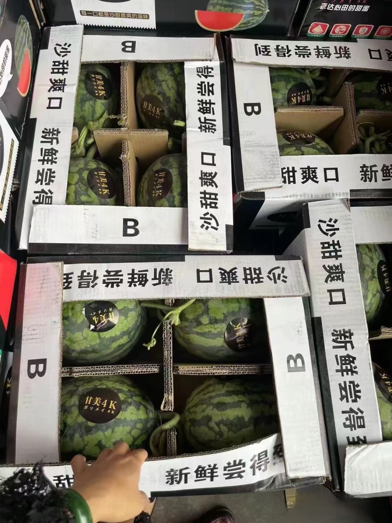 《精选》精品甘美4K西瓜江苏西瓜口感好糖度高视频看货